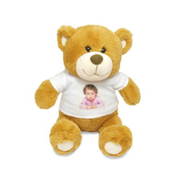 Teddy bear mascot Rudy 30 cm