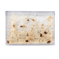 Water frame 10x15 - sand with seashells (set of 6 pieces)
