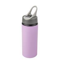 Aluminum Active bottle with mouthpiece 650 ml - purple set of 5 pcs.