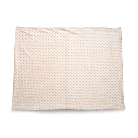 Sand minky blanket 50/75