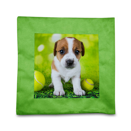 Pillowcase 40x40 suede - green + insert