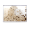 Water frame 10x15 - sand with seashells (set of 6 pieces)