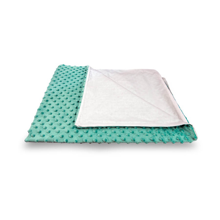 Green minky blanket 50/75