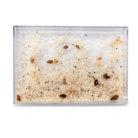 Water frame 10x15 - sand with seashells (set of 6 pieces)