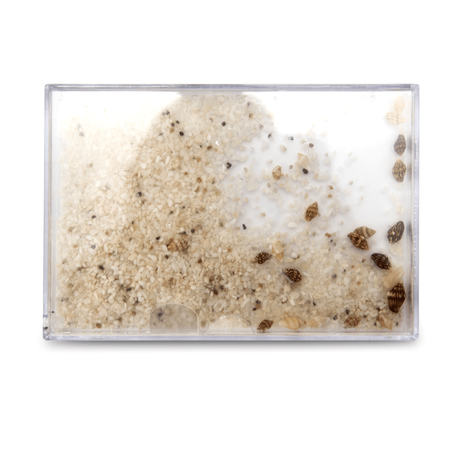 Water frame 10x15 - sand with seashells (set of 6 pieces)